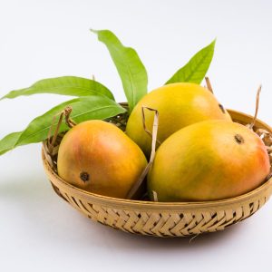 Alphonso Mango or Hapoos Aam is a seasonal and juicy fruit from India known for it's sweetness, richness and flavour. Over colourful background. Selective focus